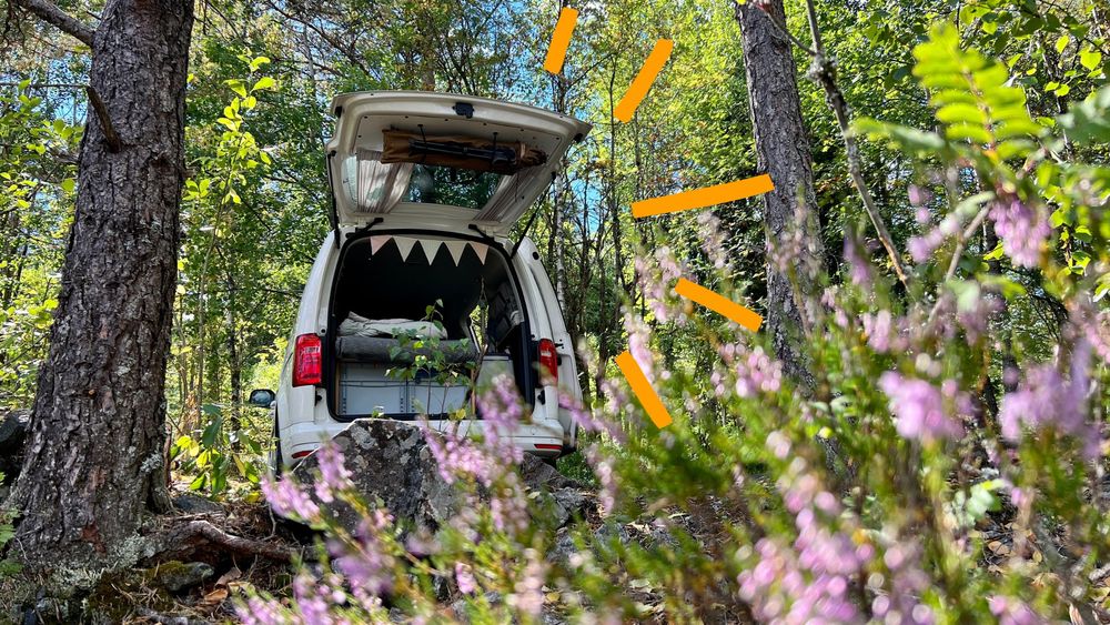 Caddy steht mit offene Heckklappe in einem Wald. 